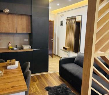 Kopaonik Apartamento | President kop s11