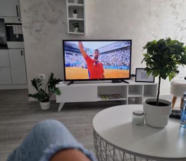 Stara Pazova Apartamento | Presidenziale