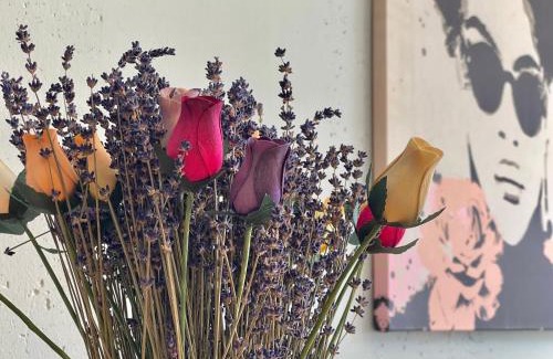 Bamberg Apartamento | Pretty City, dein feinzeit Apartment #Parkplatz gratis #Braureidreieck #Supermarkt