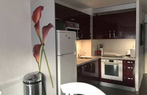 Cap d'Agde Apartamento | BONITA PLANTA BAJA JARDÍN CONTEMPORÁNEO MARRÓN