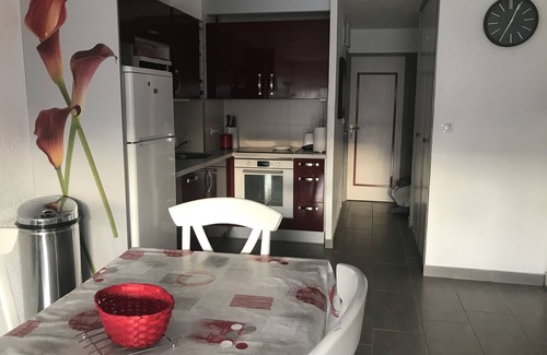 Cap d'Agde Apartamento | BONITA PLANTA BAJA JARDÍN CONTEMPORÁNEO MARRÓN