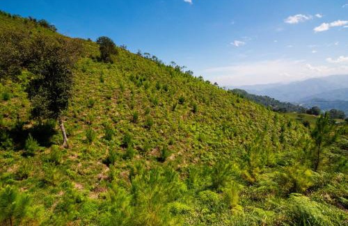 La Vega Casa | Primavera Ecoalbergue