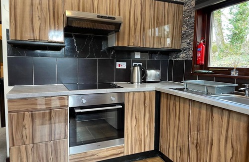 Llanybri Casa | Primrose 19-Woodland Lodges-Carmarthen-Pembroke