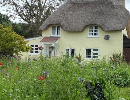 Holworth Casa | Primrose Cottage