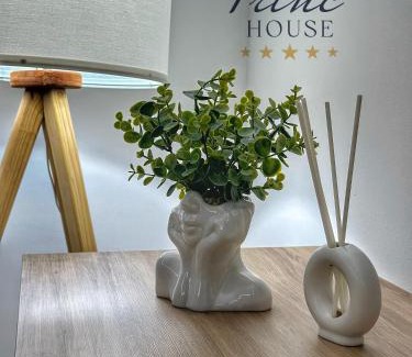 Leskovac Apartamento | Princ house