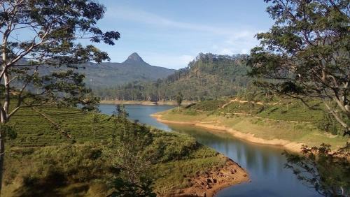 Dickoya Casa | Princess of Dickoya Homestay