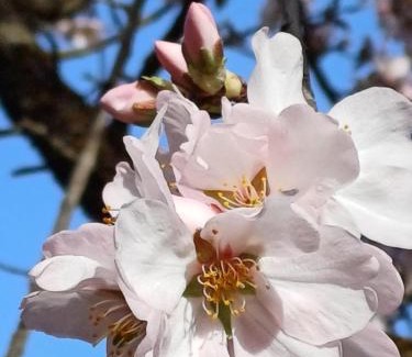 La Vilella Baixa Casa | PRIORAT Ca la Iolanda "RELAX ESCALADA Y NATURALEZA"