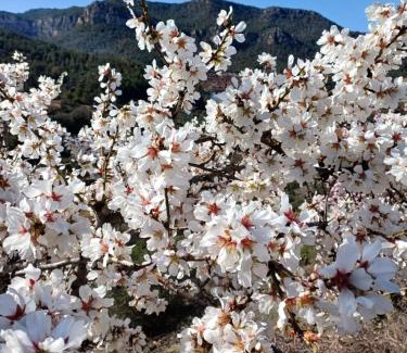 La Vilella Baixa Casa | PRIORAT Ca la Iolanda "RELAX ESCALADA Y NATURALEZA"