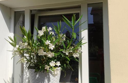 Trencin Apartamento | Privat 2 na Sihoti