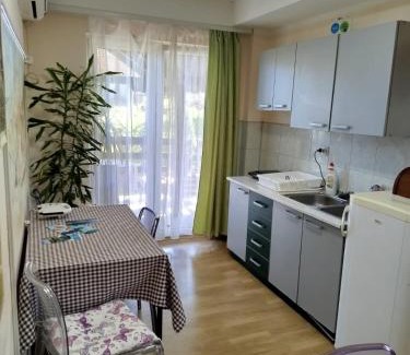 Donji Milanovac Casa | Privatan smeštaj Velić