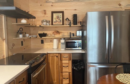 Amery Cabina | Private 3bdr cabin on Apple River kayaks, SUPS, and paddle boat. Pet friendly!