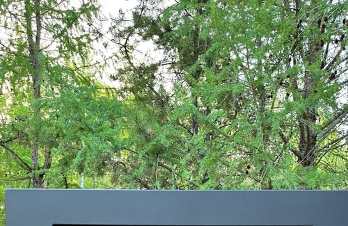 Central Alberta Alquiler De RV | Private Acreage & private pool near AB Beach! Above and beyond exceptional!