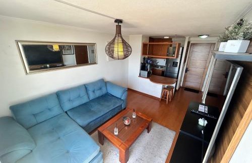Bellas Artes Apartamento | Private apartment in Santiago