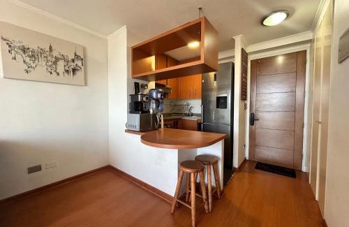 Bellas Artes Apartamento | Private apartment in Santiago