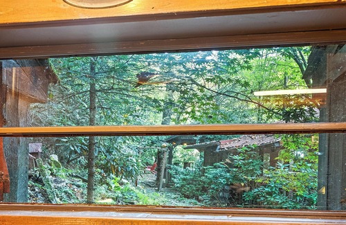 Waynesville Cabina | ¡AMBAS CABINAS SON TUYAS! Cabina abierta al aire libre, chimenea, comedor es todo tuyo.