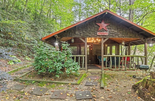 Waynesville Cabina | ¡AMBAS CABINAS SON TUYAS! Cabina abierta al aire libre, chimenea, comedor es todo tuyo.