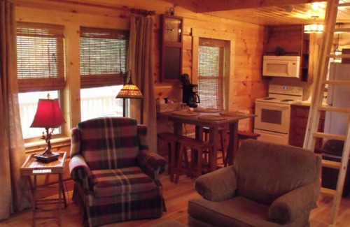 Elizabethton Cabina | Private Cabin on Watauga River Tri-Cities, TN. 1000 feet of private river front!