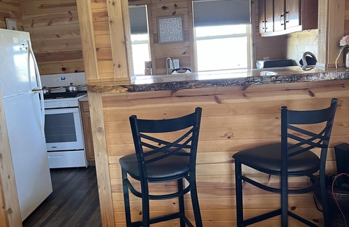 Geneva-on-the-Lake Cabina | Private cabin that sits on fenced in one acre lot. (Dog friendly)