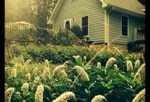 Trenton Casa | Private Cottage on Lookout Mountain