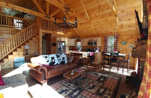 Lake Lure Cabina | * Vistas al lago, se admiten perros, acogedor, 2 lagos, río, comunidad cerrada, canoa, wi gratis