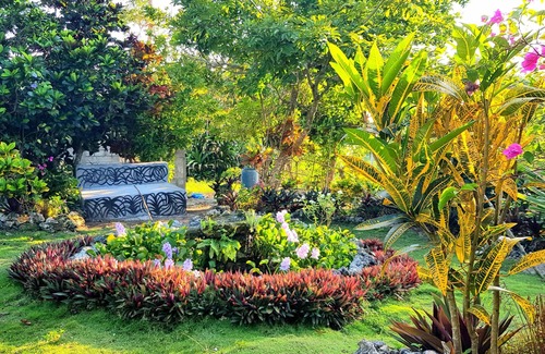 Orange Bay Apartamento | Private hilltop jungle retreat
