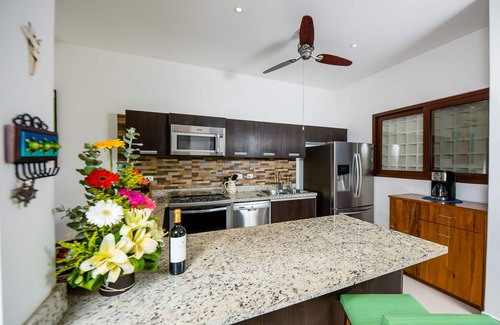 Akumal Casa | Private Home, Steps to Beach Club, Walk to Town/Restaurants ,Snorkeling