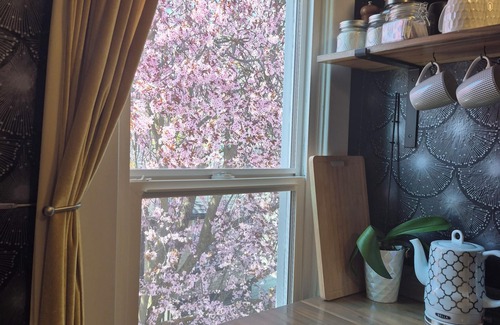 Logan Casa | Private Loft in 2 Story Victorian, Billiken Inn
