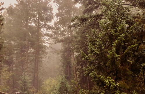 Cascade-Chipita Park Casa | Private Magical Forest, King Suite, 2 miles to Pikes Peak Hwy and North Pole