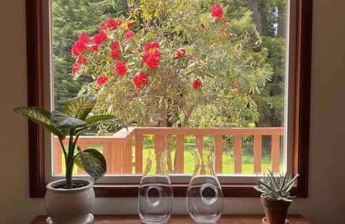 Bertsch-Oceanview Casa | Private mid-century modern hideaway in forest near the river and sea.