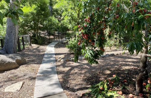 Montecito Casa | Private oak tree bungalow in the heart of Montecito!