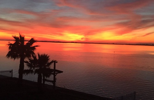 Palm Harbor Casa | Kokomo - Un escape frente al mar