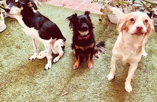 Newhall Casa | Private pet-friendly bedroom in charming Santa Clarita