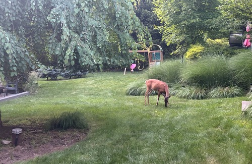 Henryville Casa | Private Pocono Getaway - Pet Friendly