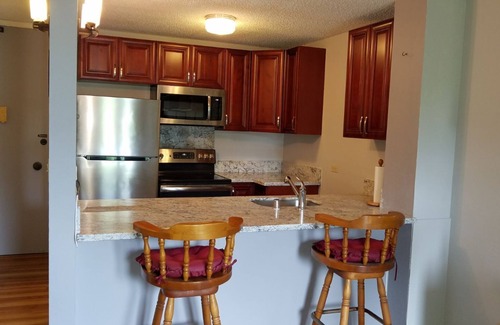 Waimalu Condominio | Gorgeous Oasis, Central 1Bed 1Bath, AC, Free Prkg 30 day, 90 & L / T Rental only