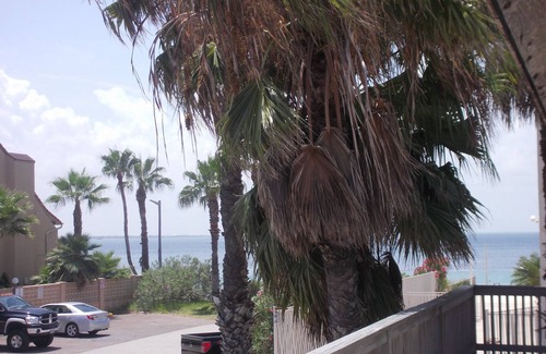 South Padre Island Casa | PRIVATE SINGLE FAMILLY HOUSE with nice deck for Friday Night Fireworks!