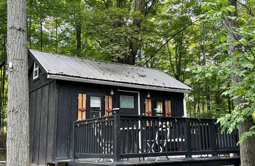 Dushore Cabina | Private Tiny Cabin in Dushore! A Nature Lovers Dream