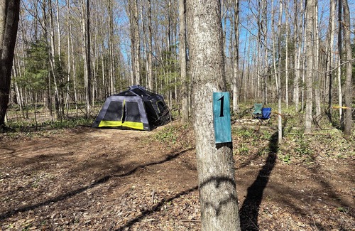 Beulah Alquiler De RV | Private Wooded Campsite for Tents or Small RV's #2