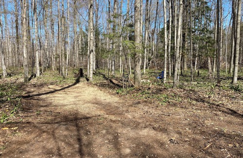 Beulah Alquiler De RV | Private Wooded Campsite for Tents or Small RV's #2