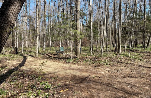 Beulah Alquiler De RV | Private Wooded Campsite for Tents or Small RV's #2
