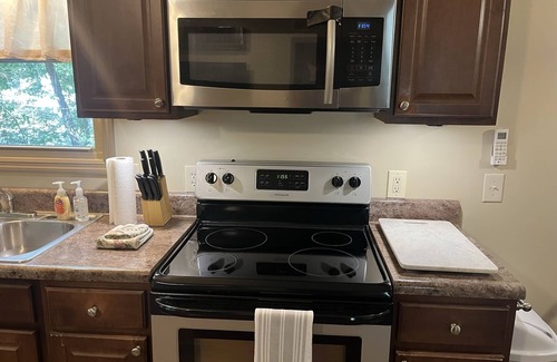 Central Apartamento | Private Wooded Cottage 2 Bed/1 Bath