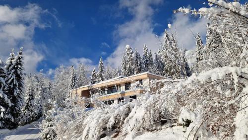 Hinterstoder Apartamento | Privatwohnung am Prielerweg in Hinterstoder