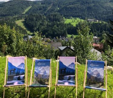 Hinterstoder Apartamento | Privatwohnung am Prielerweg in Hinterstoder