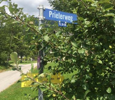 Hinterstoder Apartamento | Privatwohnung am Prielerweg in Hinterstoder