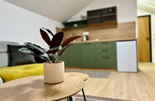 Pirot Apartamento | Promo Apartman