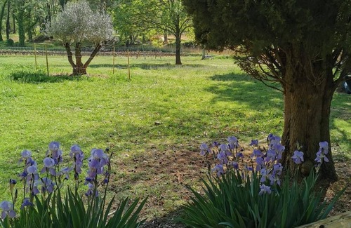 Salernes Casa | Property ****for 8 people- 1.2 hectares-1 pond