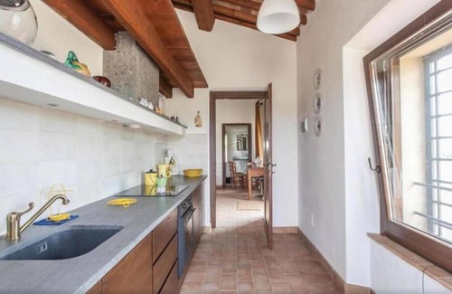Civitella d'Agliano Otro | Property with privacy between Olive trees and 360° panorama.