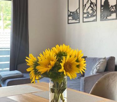 Slavske Apartamento | Prostir 65