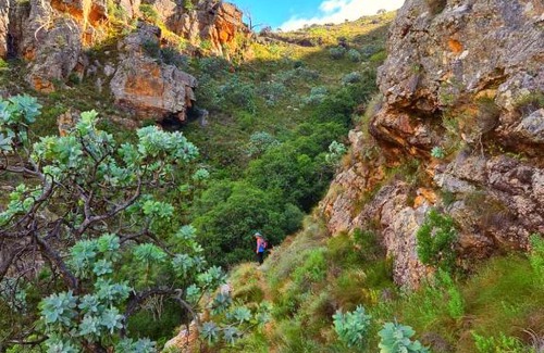 Cederberg Apartamento | Protea Chalet