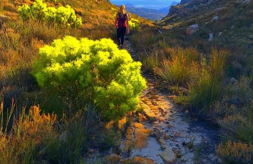 Cederberg Apartamento | Protea Chalet