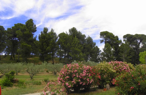 Maussane-les-Alpilles Casa | casa de campo provenzal con piscina, para 6 personas en el corazón de la Provenza